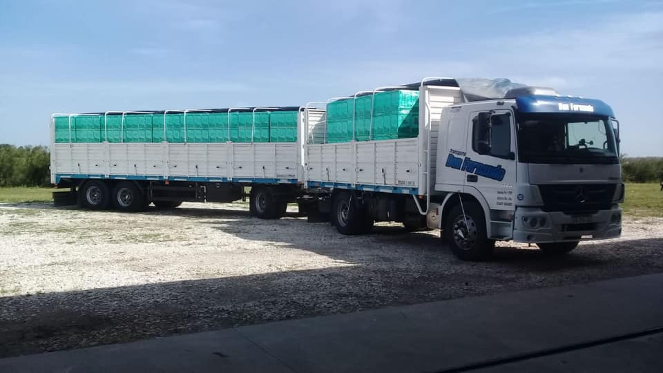 Camiones de la flota Don Fernando en ruta